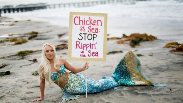 Exclusive: Walmart, John West defend Greenpeace tuna claims