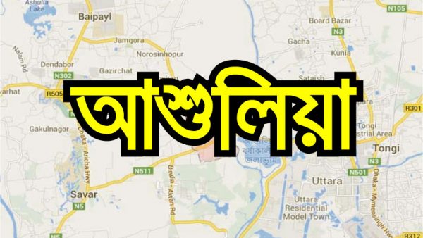 আশুলিয়ায় বকেয়া বেতনের দাবীতে শ্রমিকদের মানববন্ধন