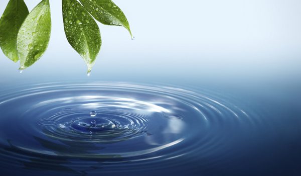 Fabric Mills and Laundries will be on the spotlight of GAP INC.’s goal to conserve 10 billion liters of water by 2020