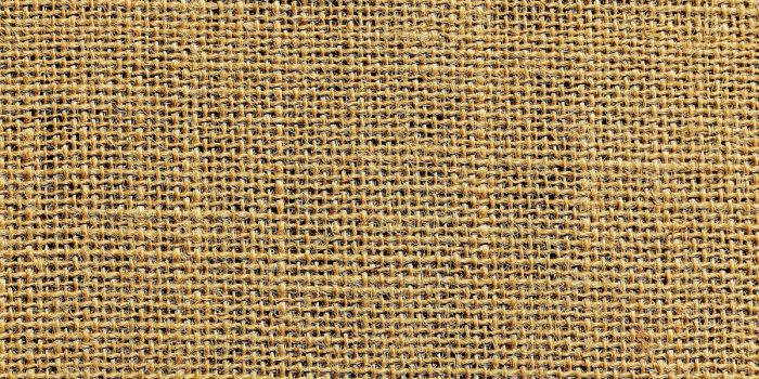 French jute, natural fibre team to visit India, Bangladesh