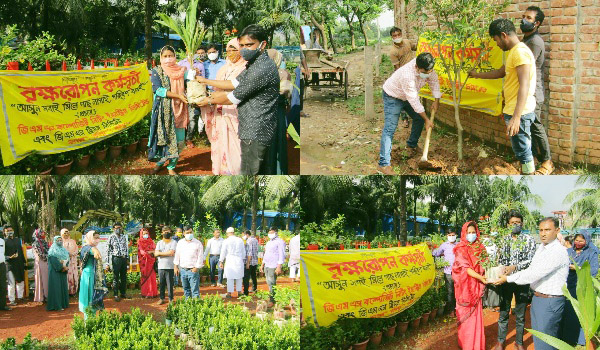 ১৭ হাজার পোশাক শ্রমিকের মাঝে বিনামূল্যে গাছের চারা বিতরণ করল জিএমএস