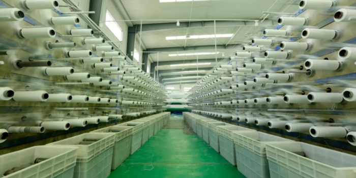 Bangladesh textile millers seek temporary ban on import of cotton yarn